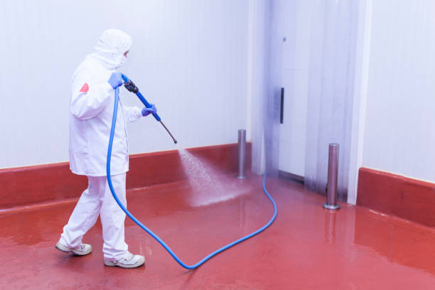 Best Rust Removal  in Maytown, PA